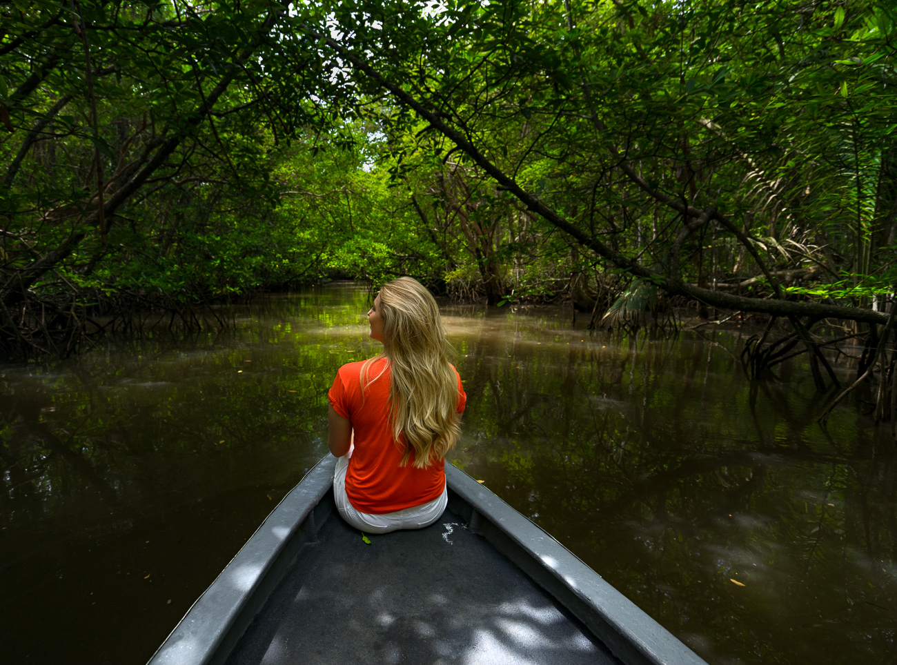 Bintan Mangrove, Hutan Bakau Memukau di Pulau Bintan - Mister Aladin Travel  Discoveries